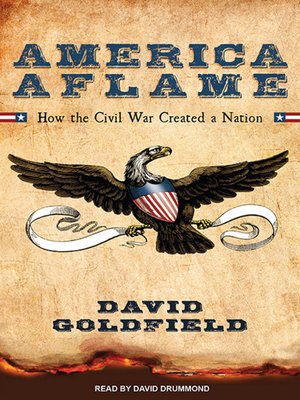 cover image of America Aflame